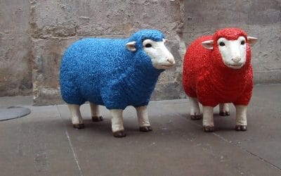 Campaign for Wool Warms Up Southwark Cathedral